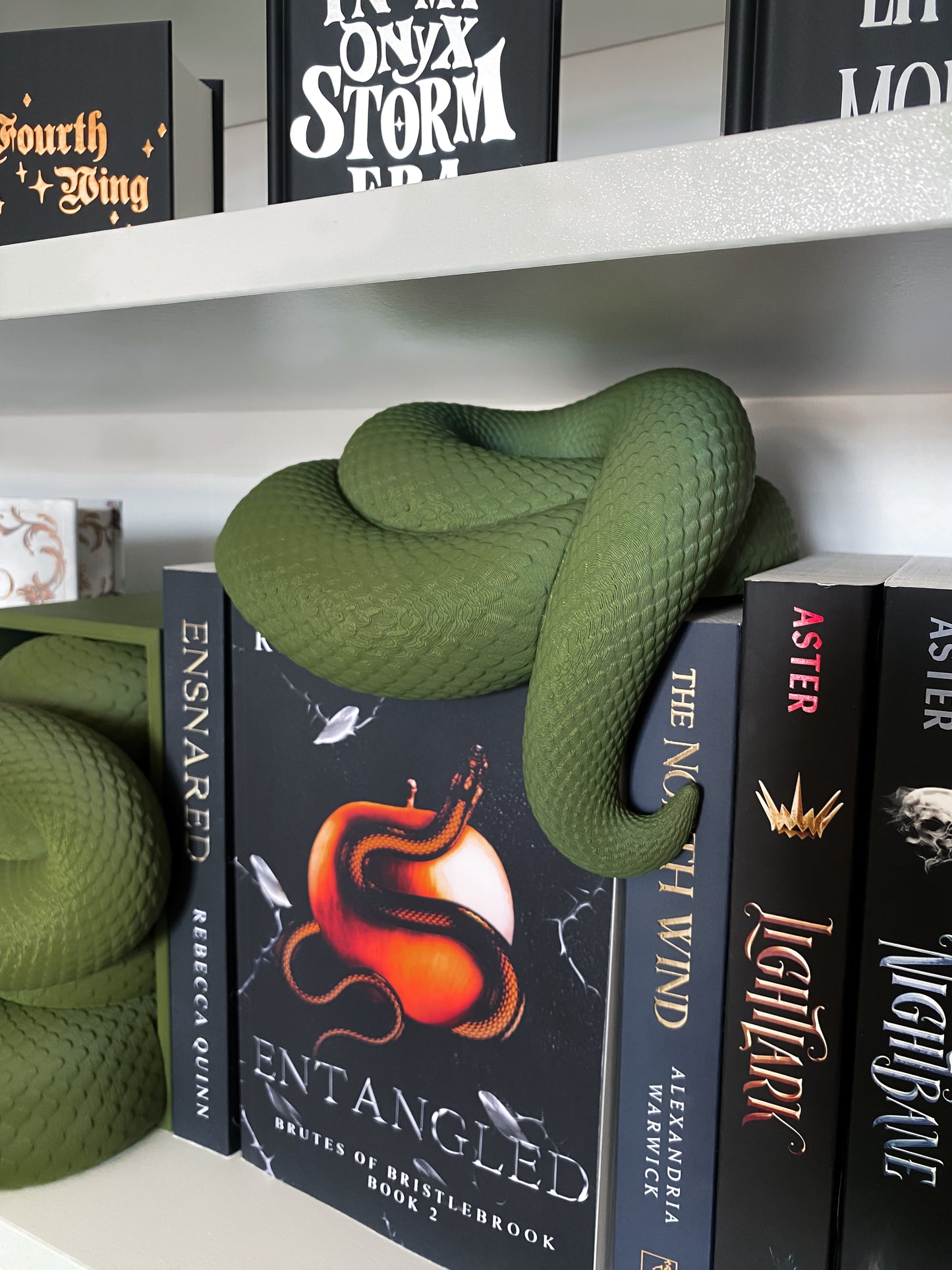 Schlangen Book Nook