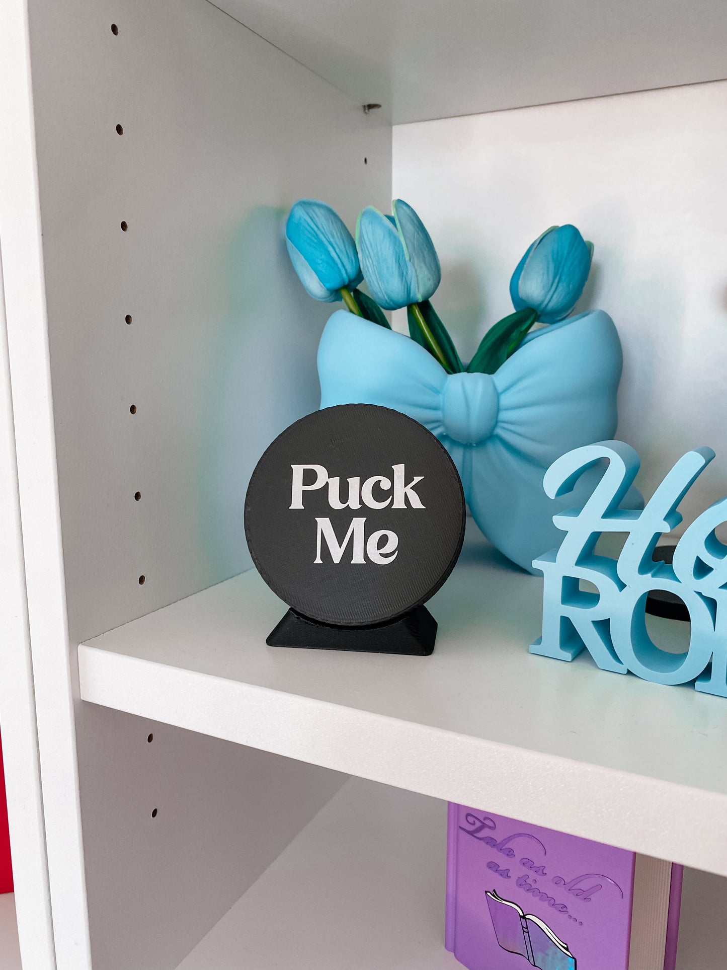 Hockey Puck
