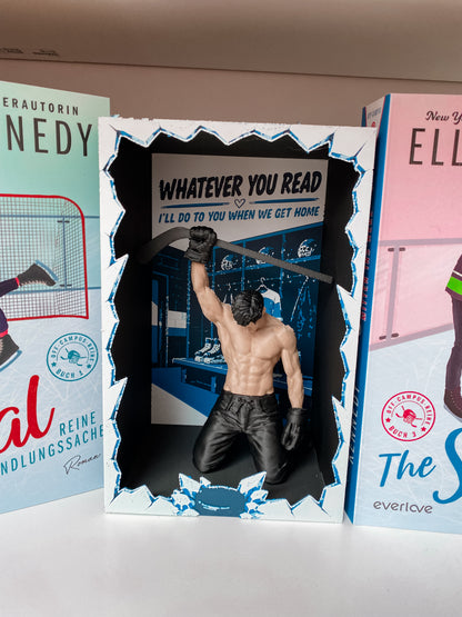 Ice Hockey Book Nook
