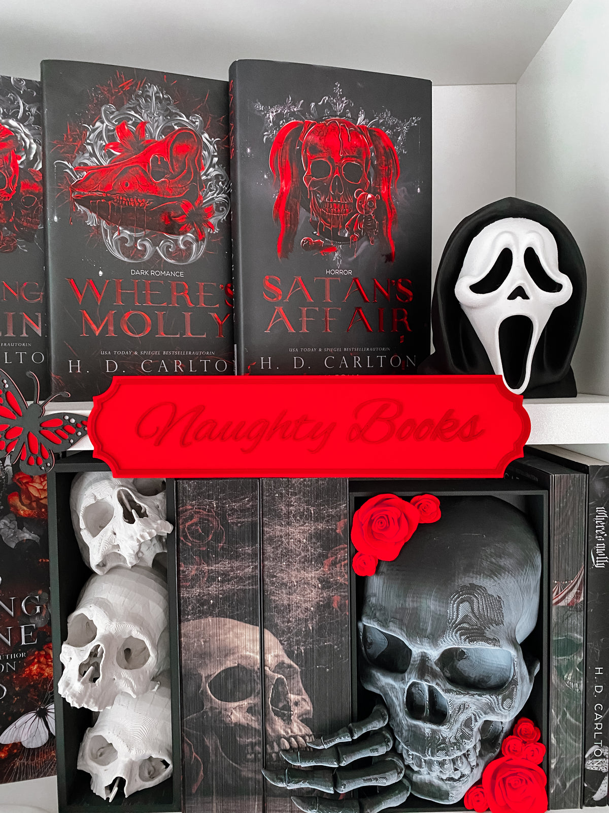 Naughty Books Regalschild