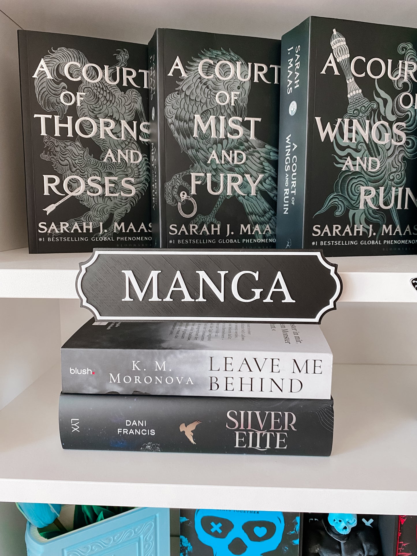 Manga Regalschild BASIC
