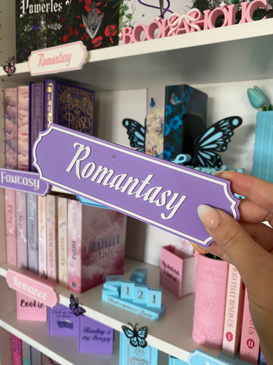 SECOND CHANCE - „Romantasy“ Genre-Regalschild (KEIN Adapter dabei)