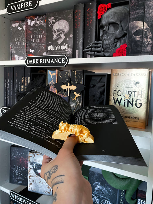 Sleeping Dragon Page Holder