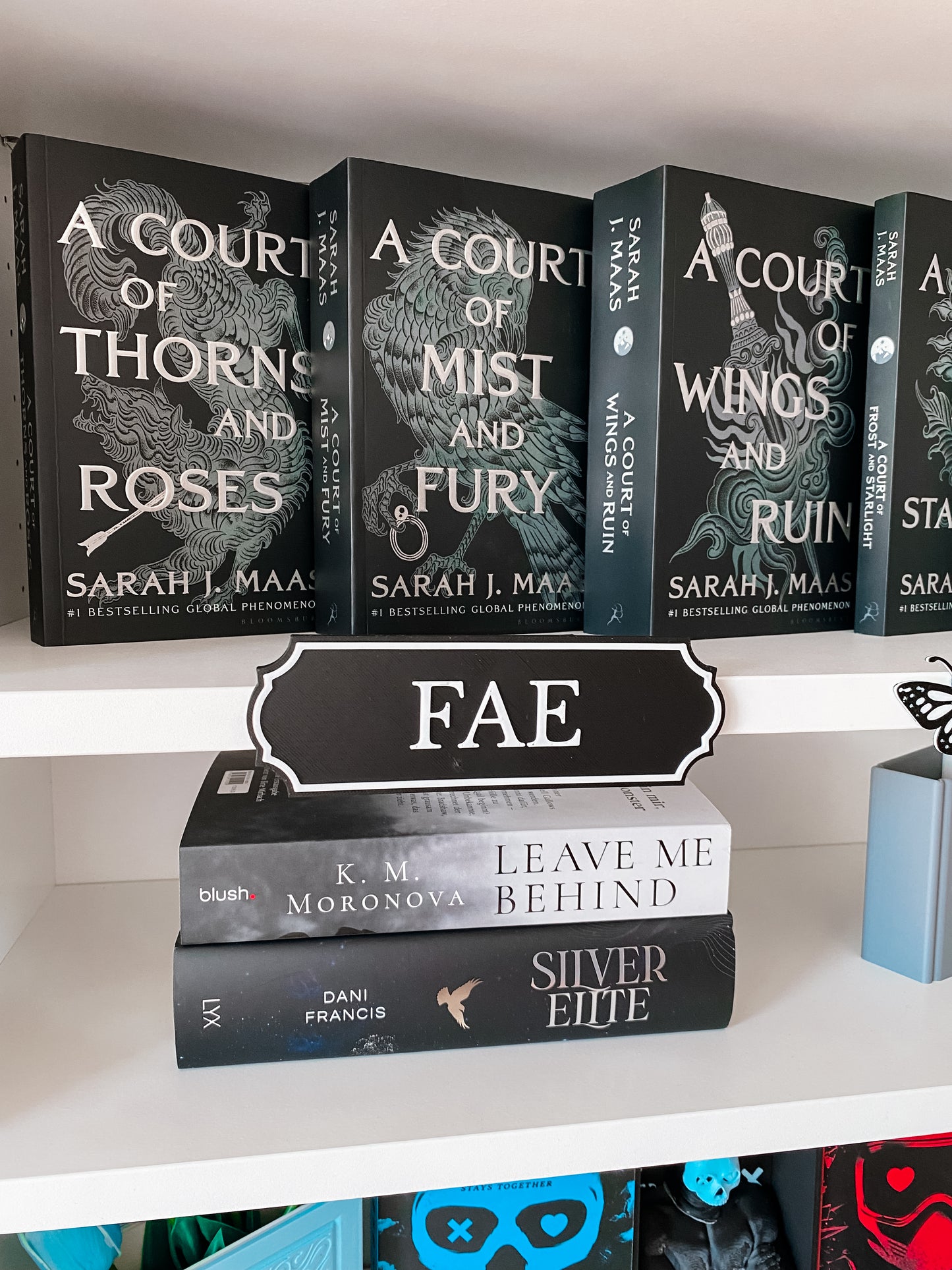 Fae Regalschild BASIC
