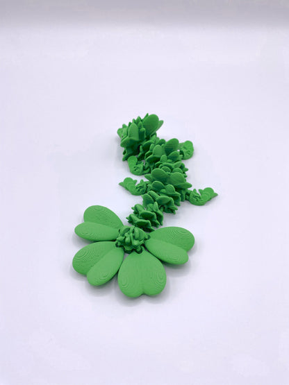 Clover Drachen Baby